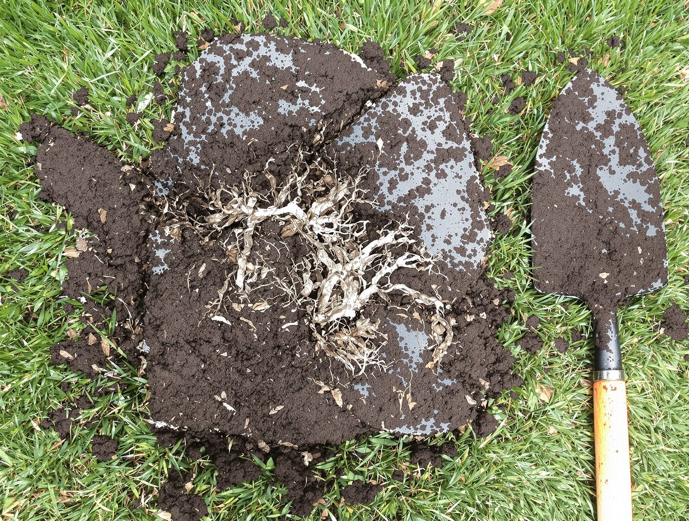 A block of soil broken open on grass to show its structure